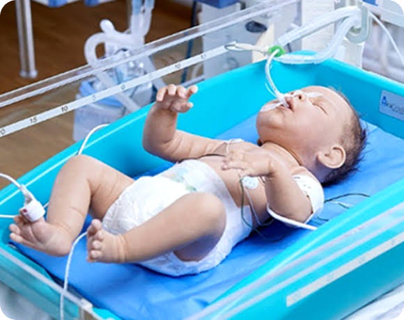 MiraCradle® Neonate Cooler — MiraCradle